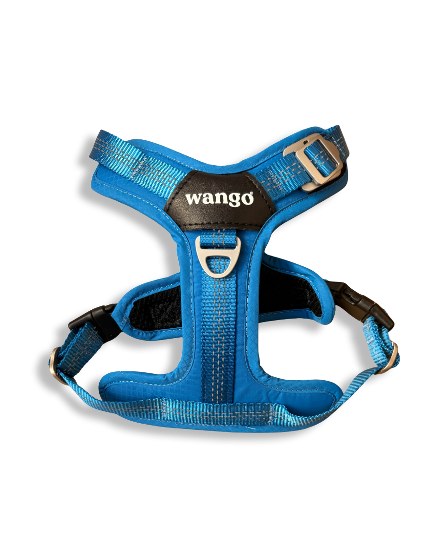 Lightweight Y Harness - Glow