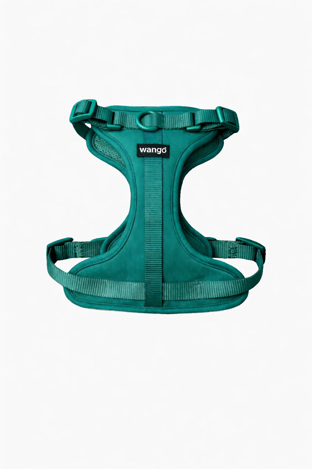 Control H Harness - Basic