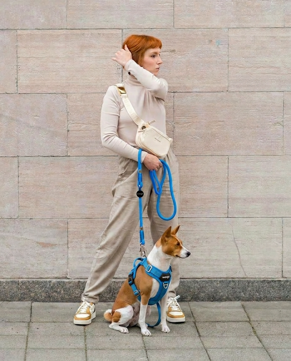 Classic Leash - Glow