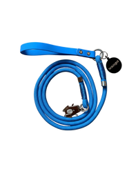 Classic Leash - Glow