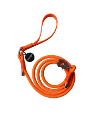 Classic Leash - Glow