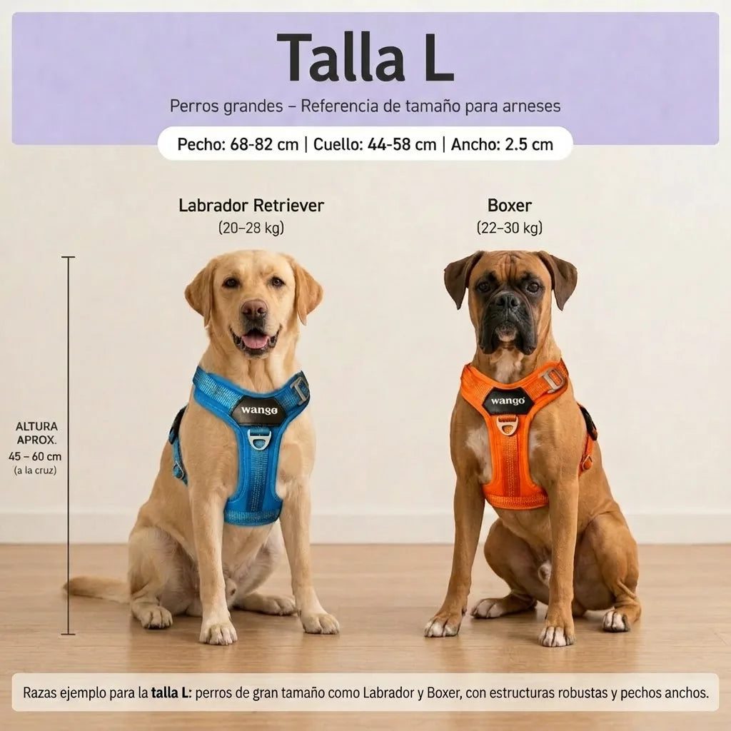 Guía de tallas - L