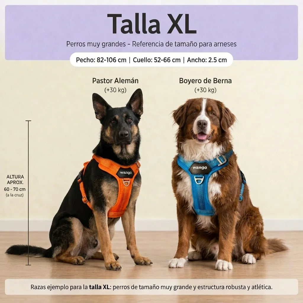 Guía de tallas - XL