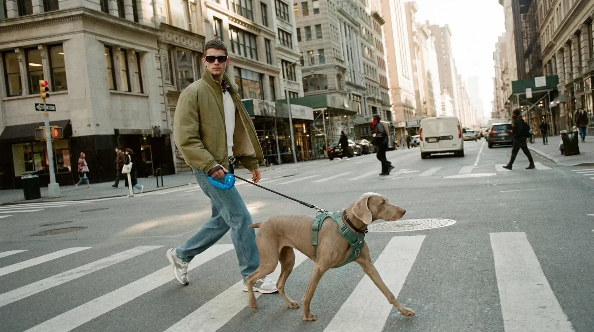 Otoño con tu perro: amenazas ocultas que debes conocer (y cómo protegerlo)