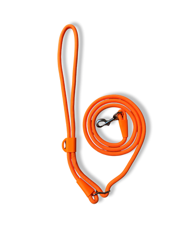 Hands-Free Leash - Glow