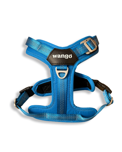 Lightweight Y Harness - Glow