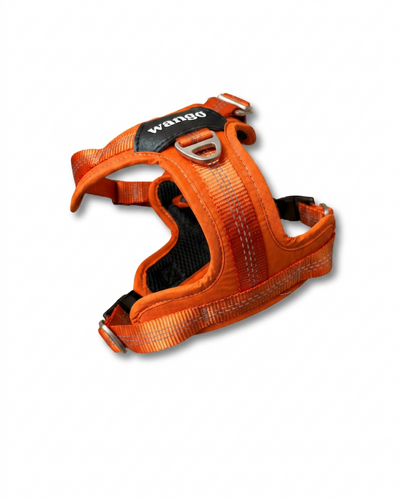 Lightweight Y Harness - Glow