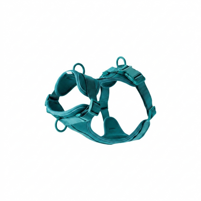 Control H Harness - Basic