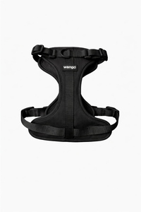 Control H Harness - Basic