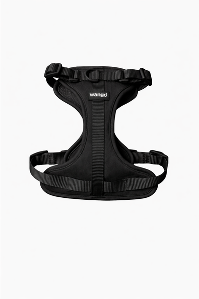 Control H Harness - Basic