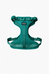 Control H Harness - Basic