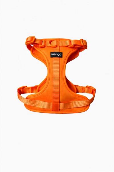 Control H Harness - Glow