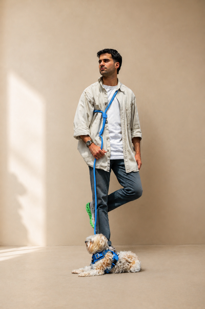 Hands-Free Leash - Glow