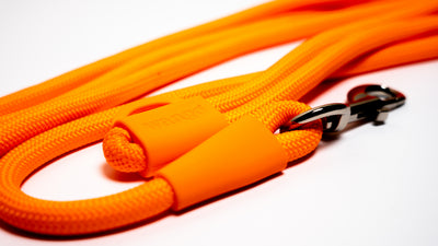 Hands-Free Leash - Glow