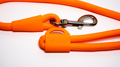 Hands-Free Leash - Glow