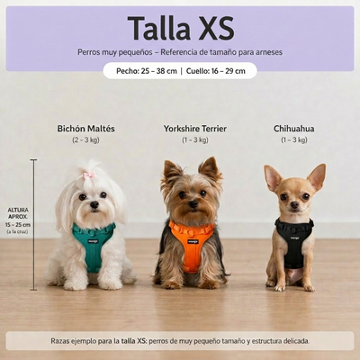 Guía de tallas - XS