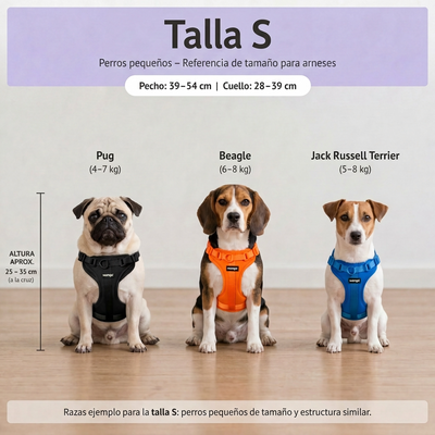Guía de tallas - S