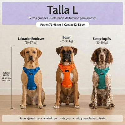 Guía de tallas - L