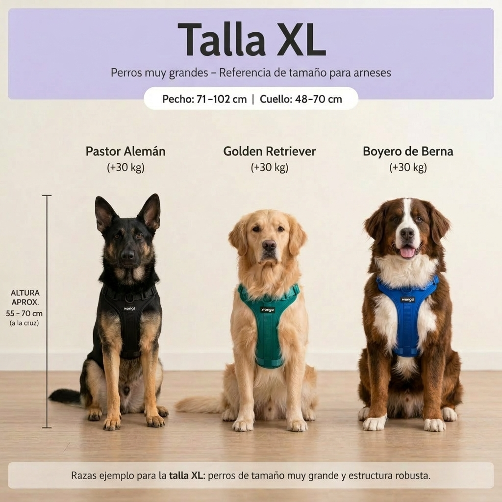 Guía de tallas - XL