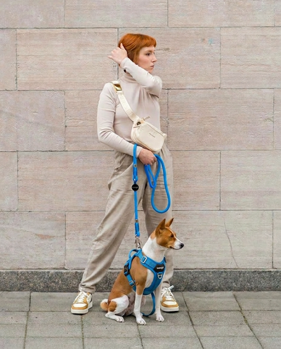 Classic Leash - Glow