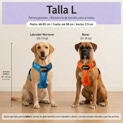 Guía de tallas - L