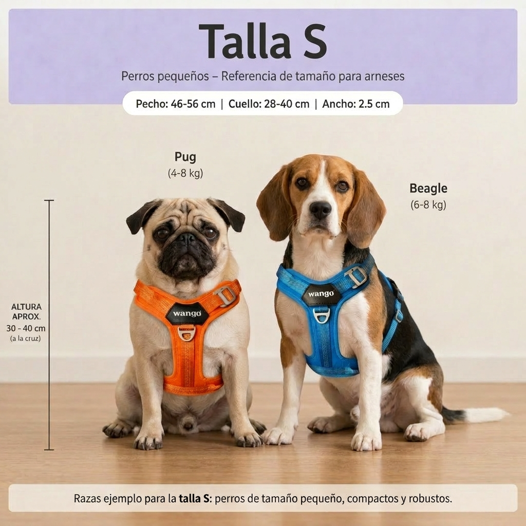 Guía de tallas - S