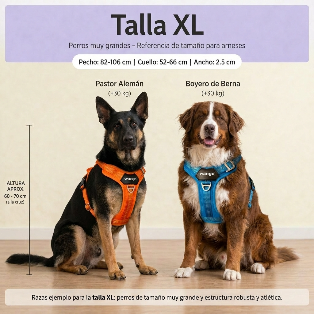 Guía de tallas - XL