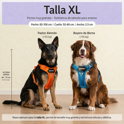 Guía de tallas - XL