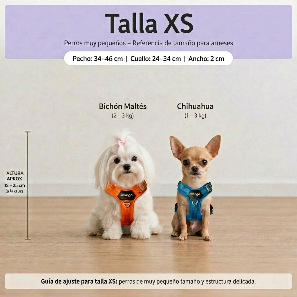 Guía de tallas - XS