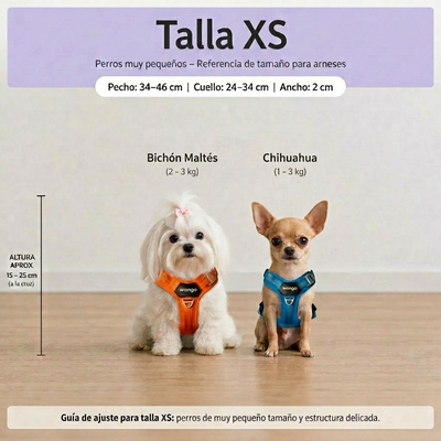 Guía de tallas - XS