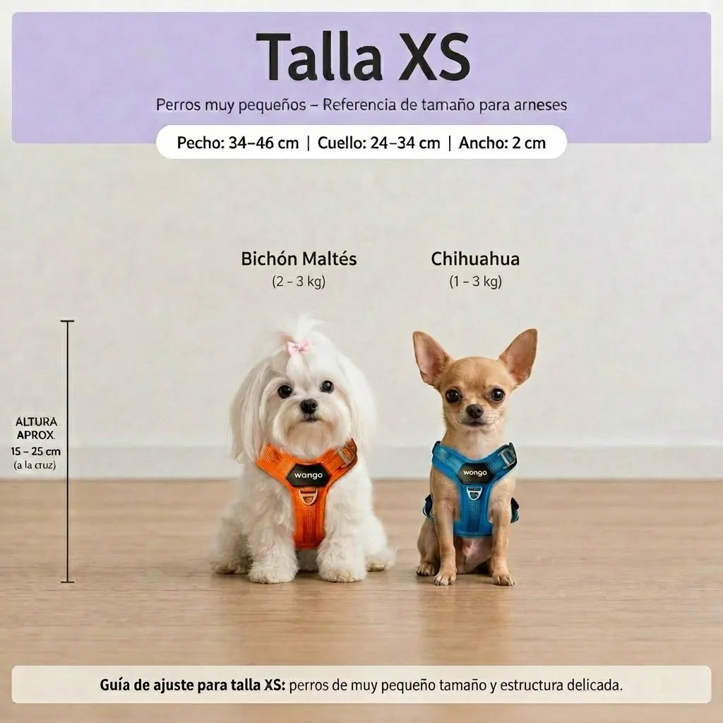 Guía de tallas - XS
