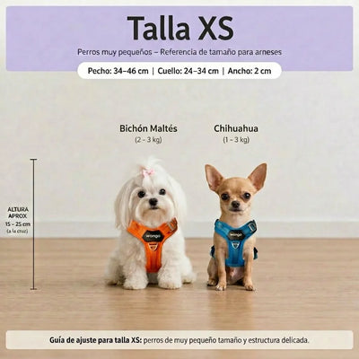 Guía de tallas - XS